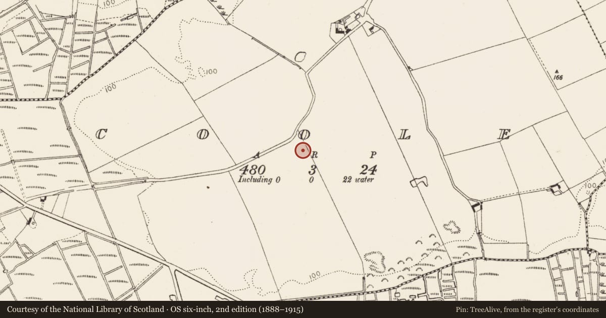 Ordnance Survey six-inch map, 2nd edition (1888–1915) covering the location of Cross-inscribed stone, Coole, County Louth, with a pin at the register's coordinates