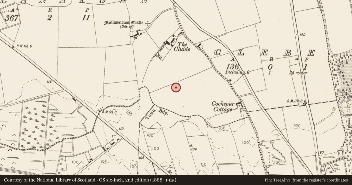 Ordnance Survey six-inch map, 2nd edition (1888–1915) covering the location of Burial ground, Mullanstown, County Louth, with a pin at the register's coordinates
