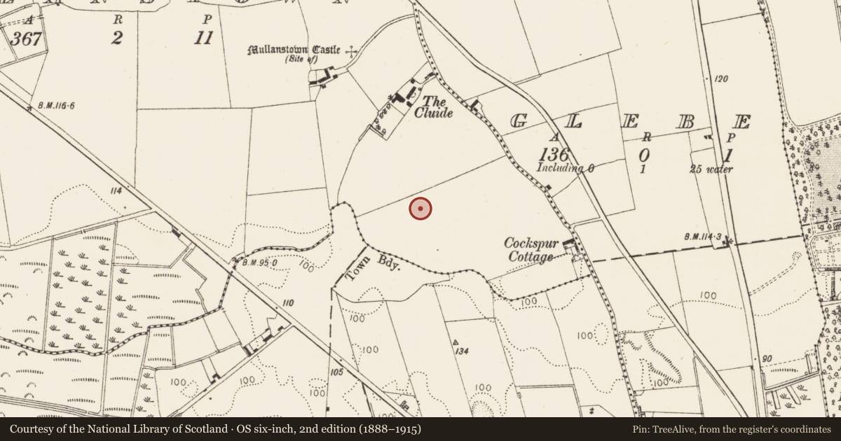 Ordnance Survey six-inch map, 2nd edition (1888–1915) covering the location of Enclosure, Mullanstown, County Louth, with a pin at the register's coordinates