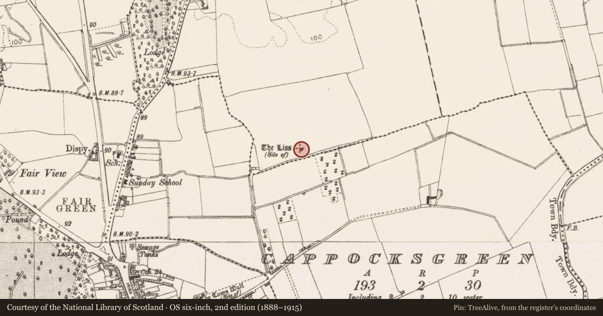 Ordnance Survey six-inch map, 2nd edition (1888–1915) covering the location of Castle - motte, Riverstown, County Louth, with a pin at the register's coordinates