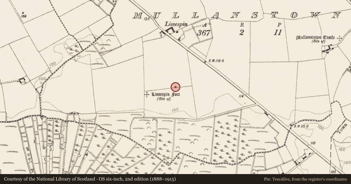 Ordnance Survey six-inch map, 2nd edition (1888–1915) covering the location of Souterrain, Mullanstown, County Louth, with a pin at the register's coordinates