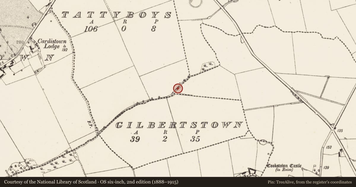 Ordnance Survey six-inch map, 2nd edition (1888–1915) covering the location of Linear earthwork, Cookstown, County Louth, with a pin at the register's coordinates