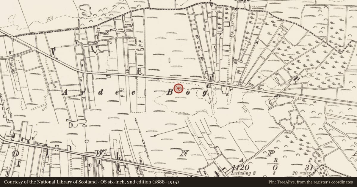 Ordnance Survey six-inch map, 2nd edition (1888–1915) covering the location of Road - unclassified togher, Townparks, County Louth, with a pin at the register's coordinates