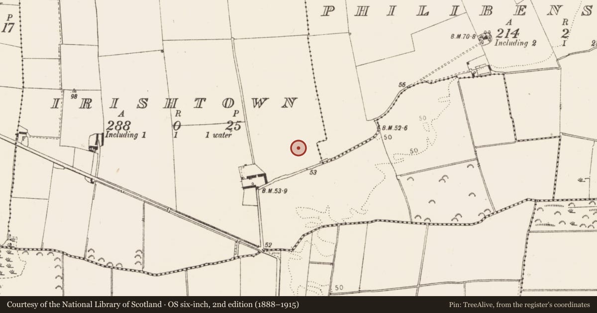 Ordnance Survey six-inch map, 2nd edition (1888–1915) covering the location of Castle - unclassified, Irishtown, County Louth, with a pin at the register's coordinates