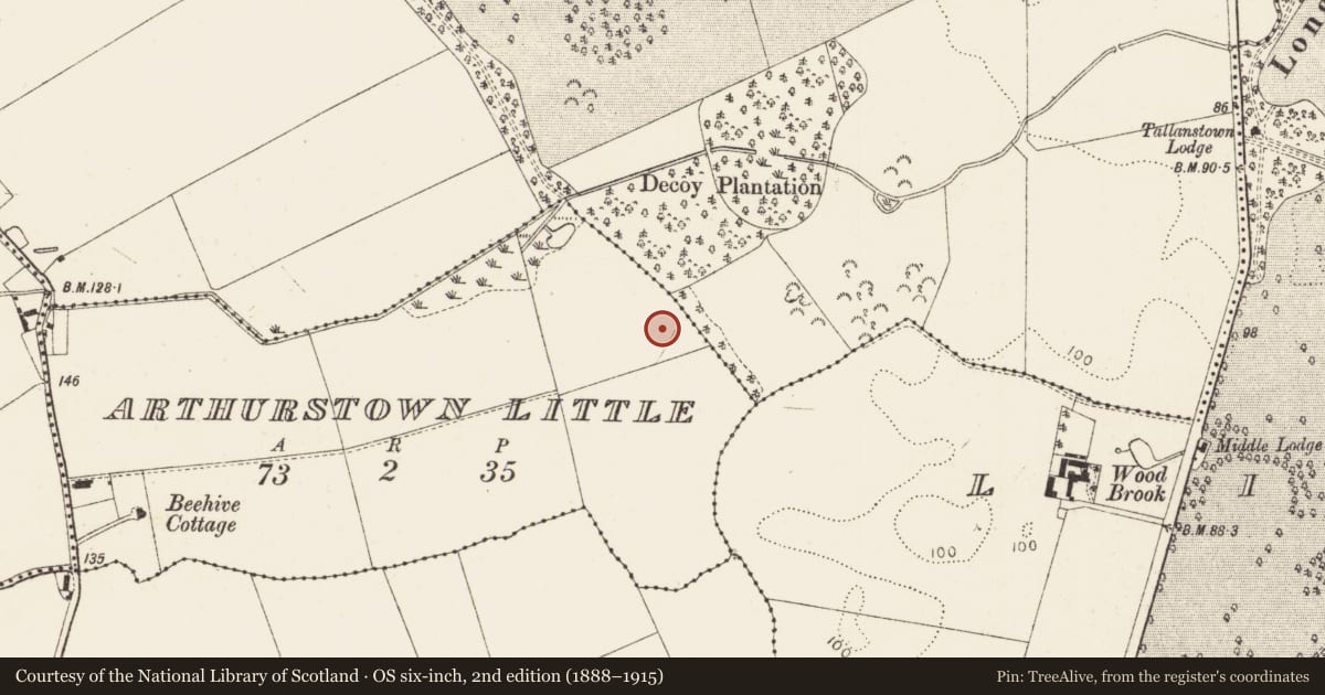 Ordnance Survey six-inch map, 2nd edition (1888–1915) covering the location of Enclosure, Arthurstown Little, County Louth, with a pin at the register's coordinates