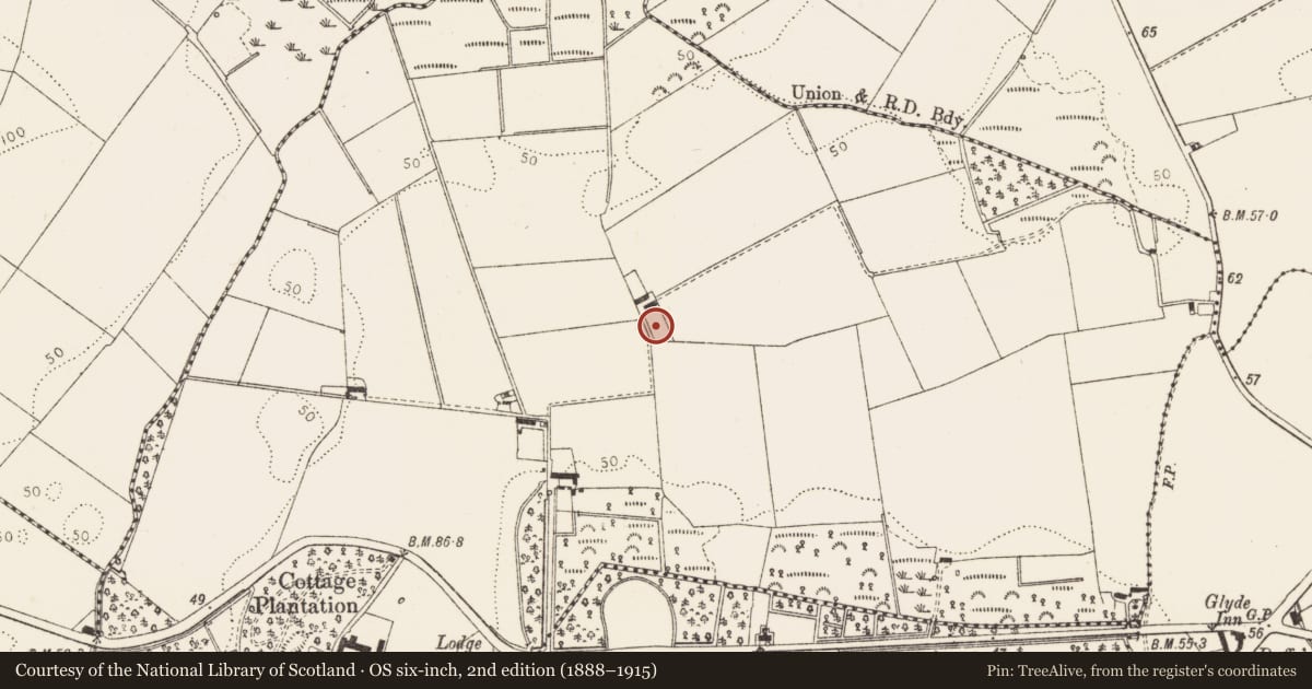 Ordnance Survey six-inch map, 2nd edition (1888–1915) covering the location of Enclosure, Corbollis, County Louth, with a pin at the register's coordinates