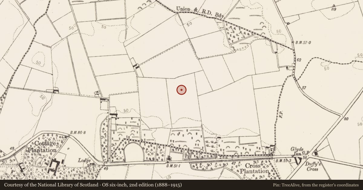 Ordnance Survey six-inch map, 2nd edition (1888–1915) covering the location of Enclosure, Corbollis, County Louth, with a pin at the register's coordinates