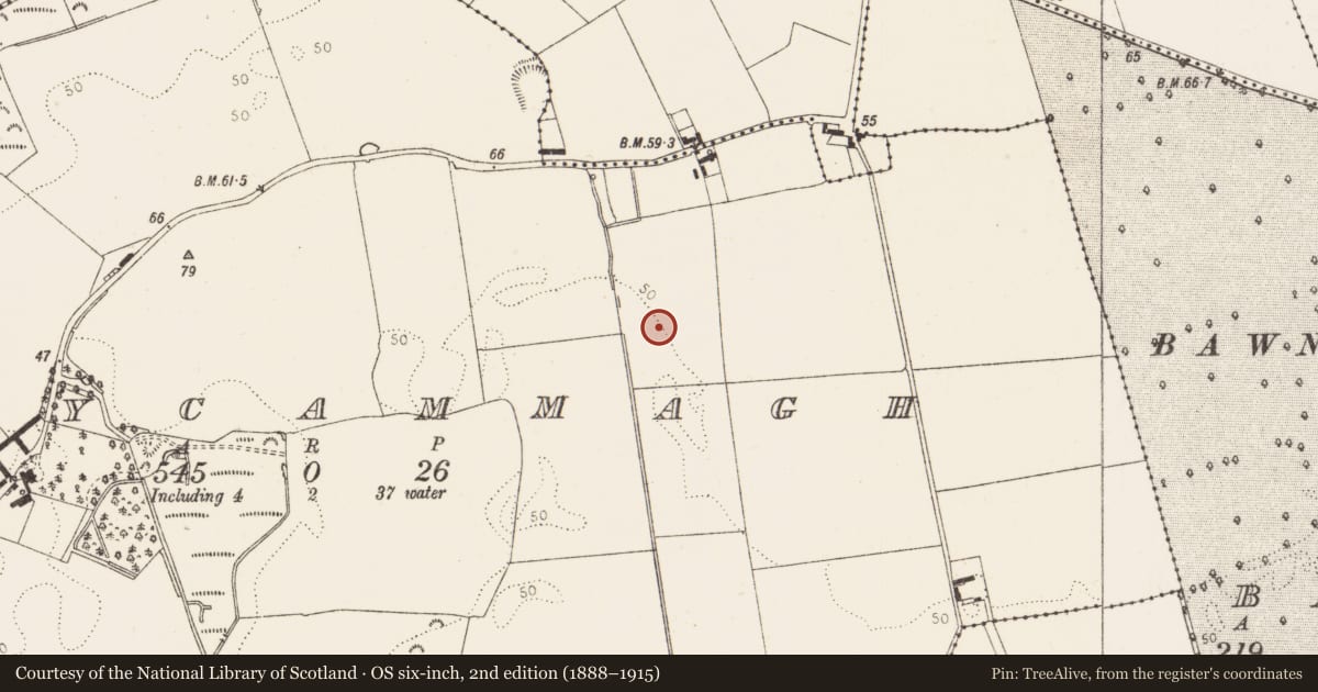 Ordnance Survey six-inch map, 2nd edition (1888–1915) covering the location of Field system, Derrycammagh, County Louth, with a pin at the register's coordinates