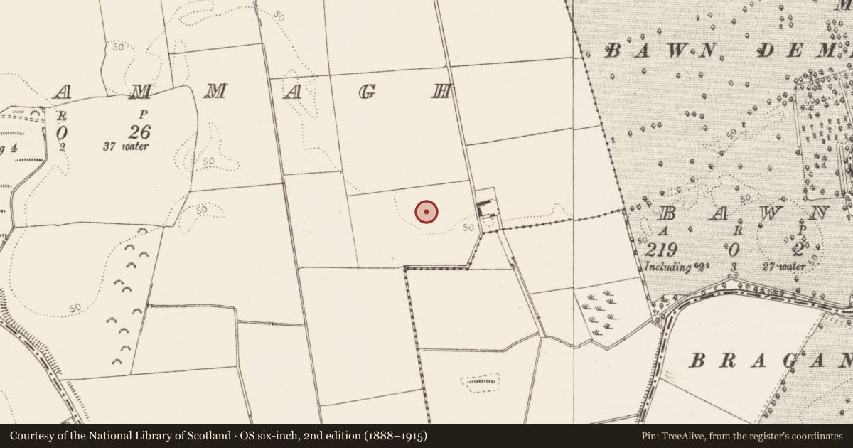 Ordnance Survey six-inch map, 2nd edition (1888–1915) covering the location of Enclosure, Derrycammagh, County Louth, with a pin at the register's coordinates