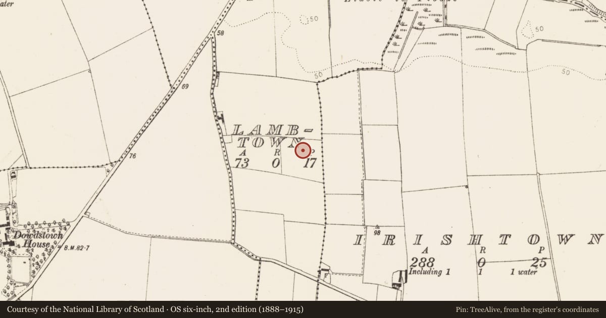 Ordnance Survey six-inch map, 2nd edition (1888–1915) covering the location of Enclosure, Lambtown, County Louth, with a pin at the register's coordinates