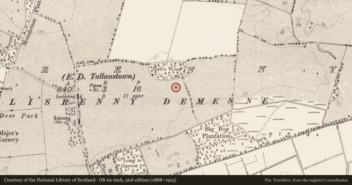 Ordnance Survey six-inch map, 2nd edition (1888–1915) covering the location of Enclosure, Lisrenny (Ardee by, County Louth, with a pin at the register's coordinates