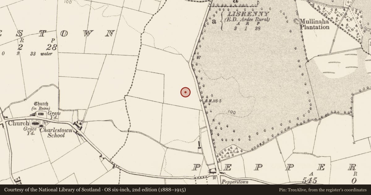 Ordnance Survey six-inch map, 2nd edition (1888–1915) covering the location of Enclosure, Pepperstown, County Louth, with a pin at the register's coordinates
