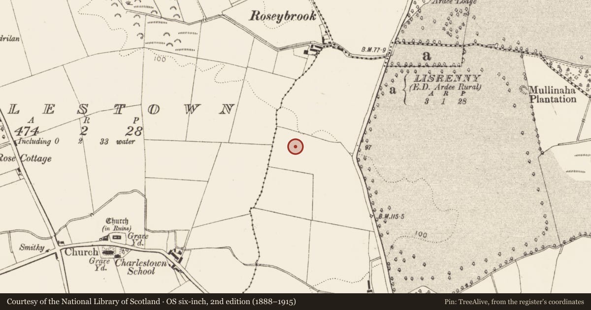 Ordnance Survey six-inch map, 2nd edition (1888–1915) covering the location of Enclosure, Pepperstown, County Louth, with a pin at the register's coordinates