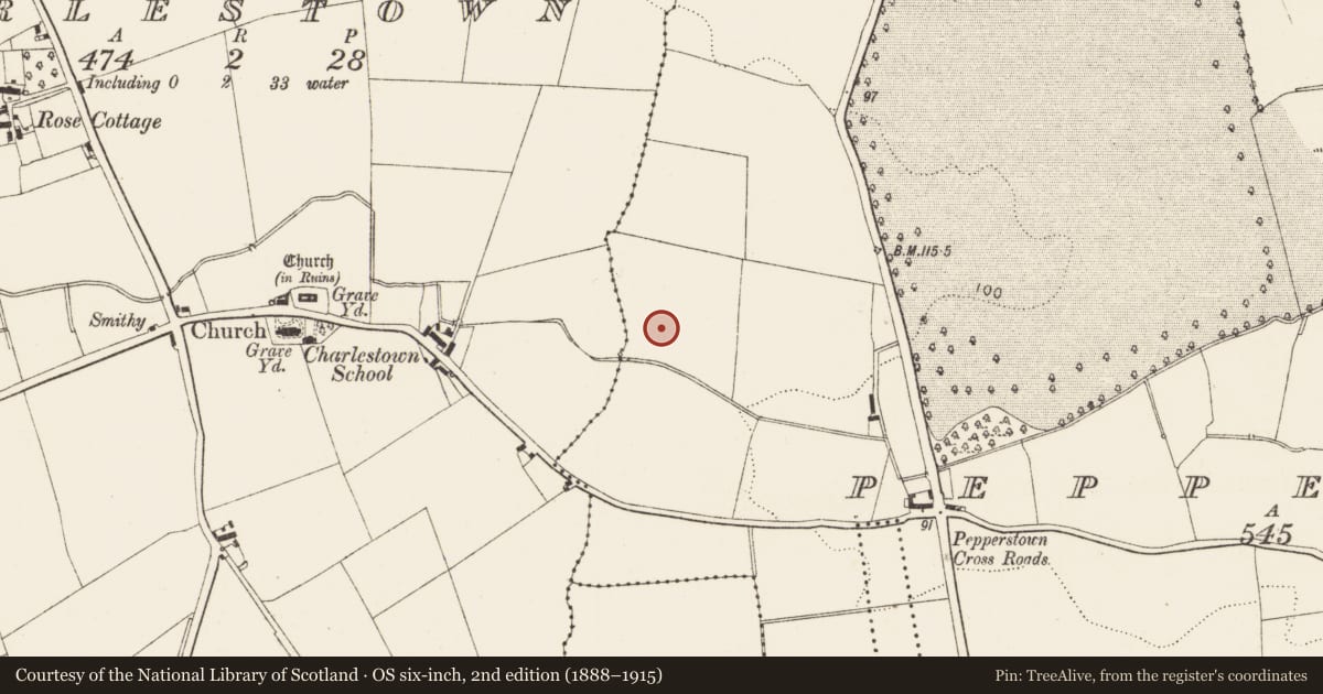 Ordnance Survey six-inch map, 2nd edition (1888–1915) covering the location of Enclosure, Pepperstown, County Louth, with a pin at the register's coordinates