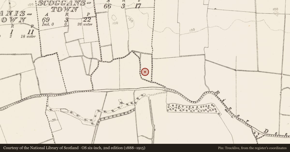 Ordnance Survey six-inch map, 2nd edition (1888–1915) covering the location of Earthwork, Rock, County Louth, with a pin at the register's coordinates