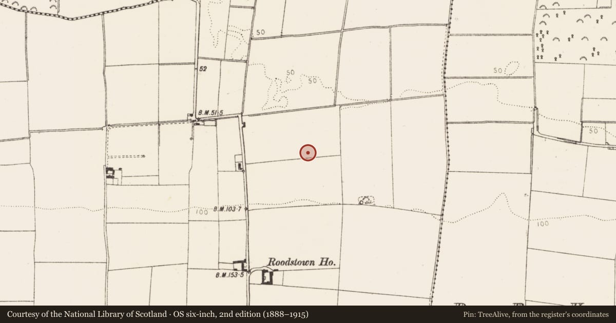 Ordnance Survey six-inch map, 2nd edition (1888–1915) covering the location of Enclosure, Roodstown, County Louth, with a pin at the register's coordinates