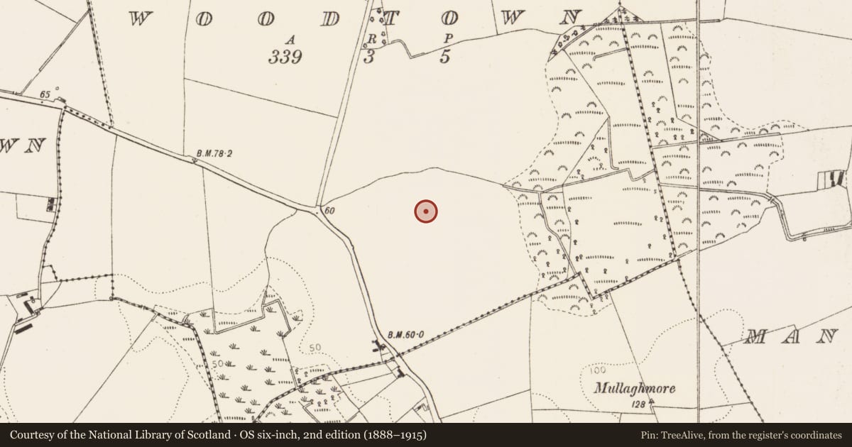 Ordnance Survey six-inch map, 2nd edition (1888–1915) covering the location of Enclosure, Woodtown, County Louth, with a pin at the register's coordinates