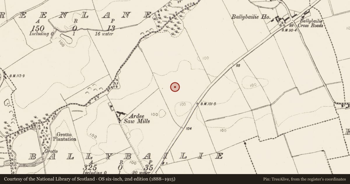 Ordnance Survey six-inch map, 2nd edition (1888–1915) covering the location of Ringfort - rath, Ballybailie, County Louth, with a pin at the register's coordinates