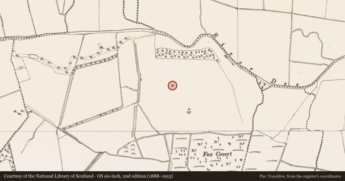 Ordnance Survey six-inch map, 2nd edition (1888–1915) covering the location of Enclosure, Rock, County Louth, with a pin at the register's coordinates