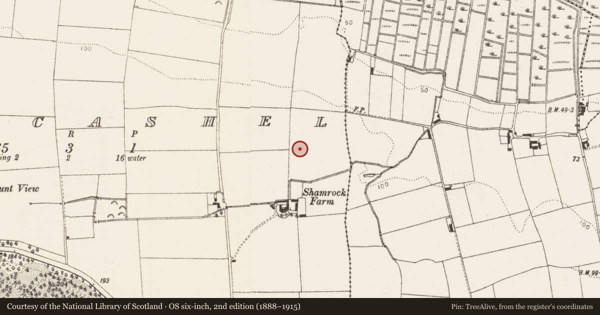 Ordnance Survey six-inch map, 2nd edition (1888–1915) covering the location of Enclosure, Drumcashel, County Louth, with a pin at the register's coordinates