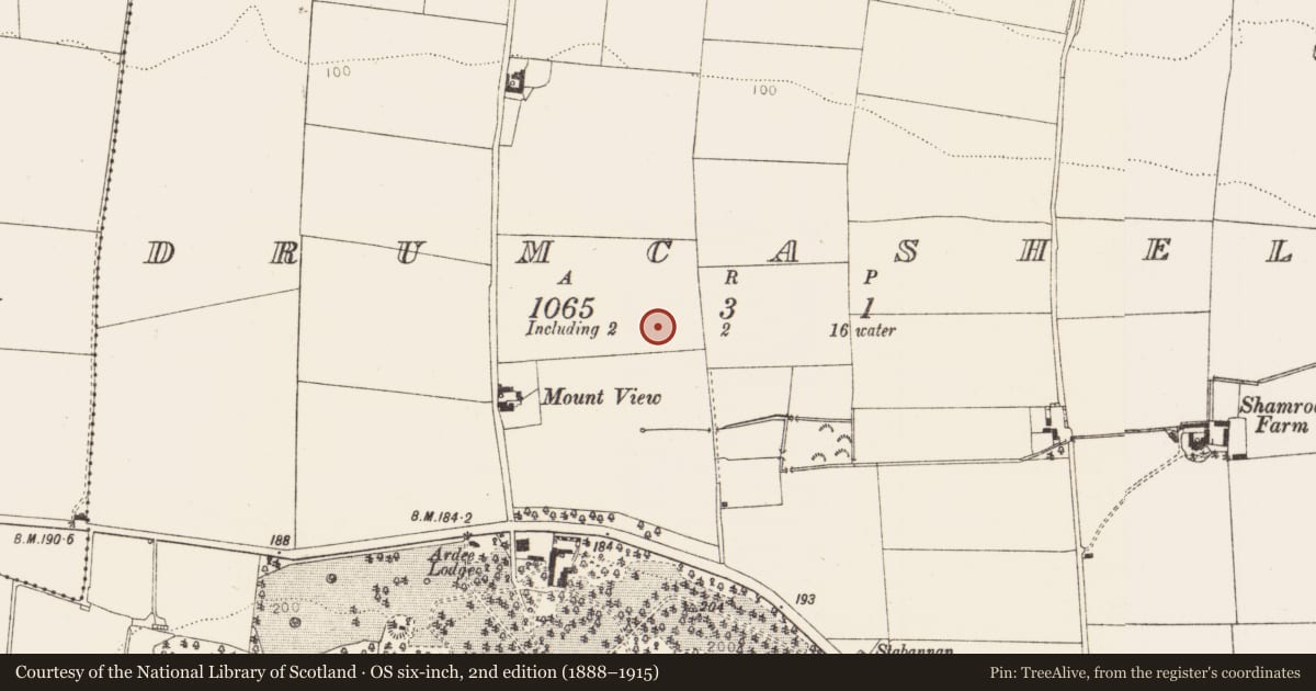 Ordnance Survey six-inch map, 2nd edition (1888–1915) covering the location of Enclosure - large enclosure, Drumcashel, County Louth, with a pin at the register's coordinates
