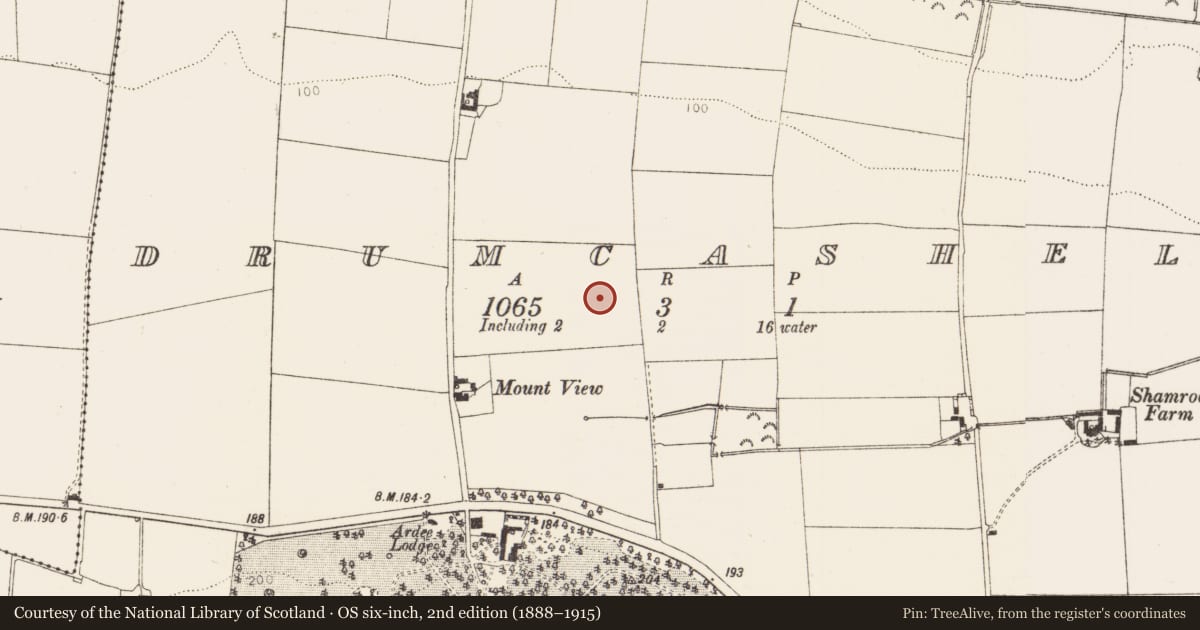 Ordnance Survey six-inch map, 2nd edition (1888–1915) covering the location of Enclosure, Drumcashel, County Louth, with a pin at the register's coordinates