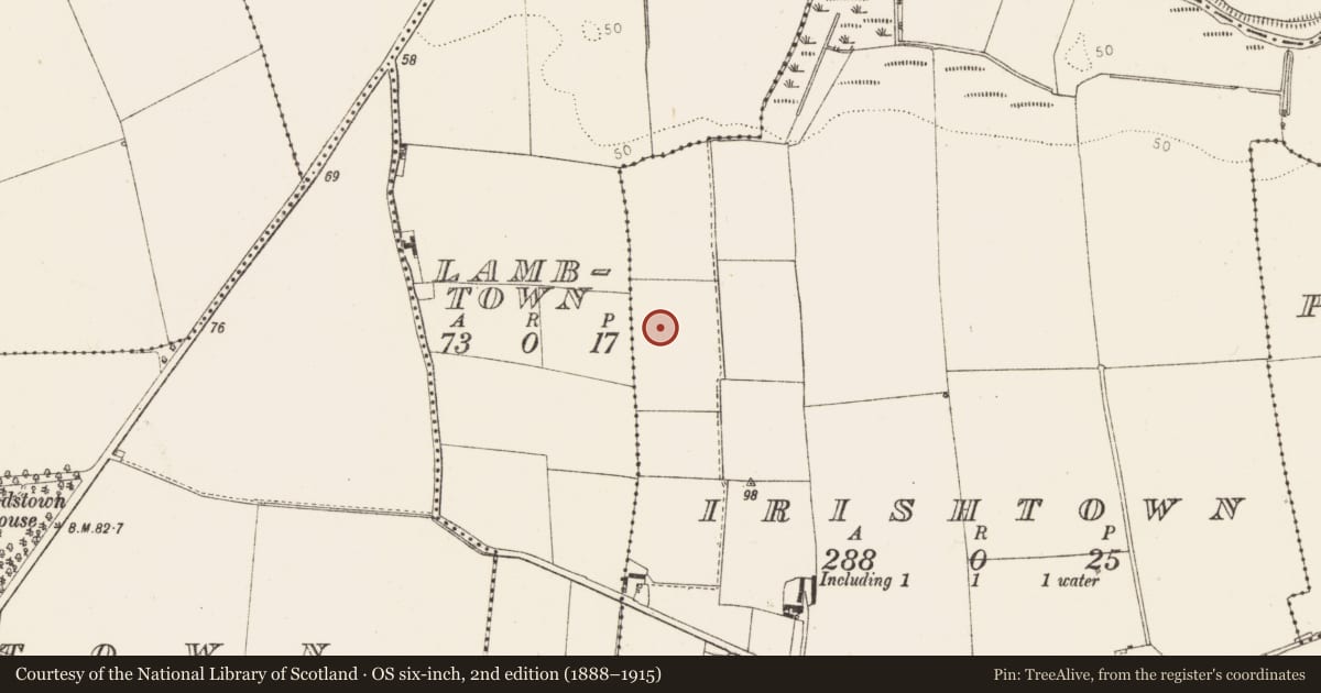 Ordnance Survey six-inch map, 2nd edition (1888–1915) covering the location of Enclosure, Irishtown, County Louth, with a pin at the register's coordinates