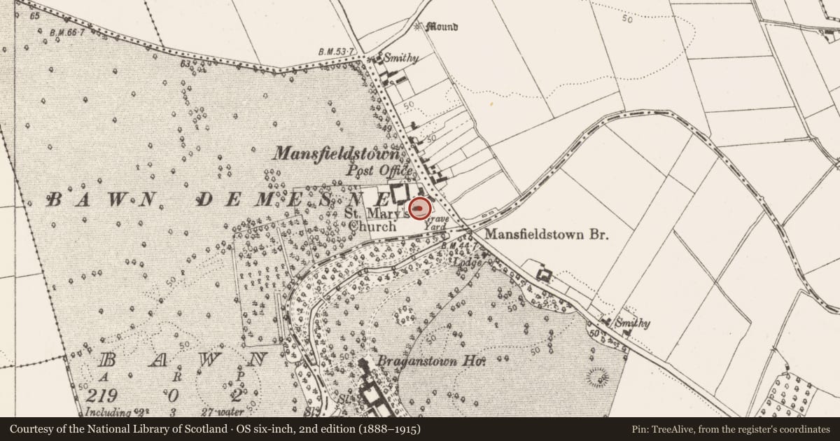 Ordnance Survey six-inch map, 2nd edition (1888–1915) covering the location of Stone head, Bawn, County Louth, with a pin at the register's coordinates