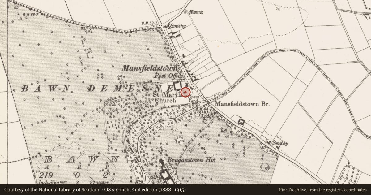 Ordnance Survey six-inch map, 2nd edition (1888–1915) covering the location of Stone head, Bawn, County Louth, with a pin at the register's coordinates