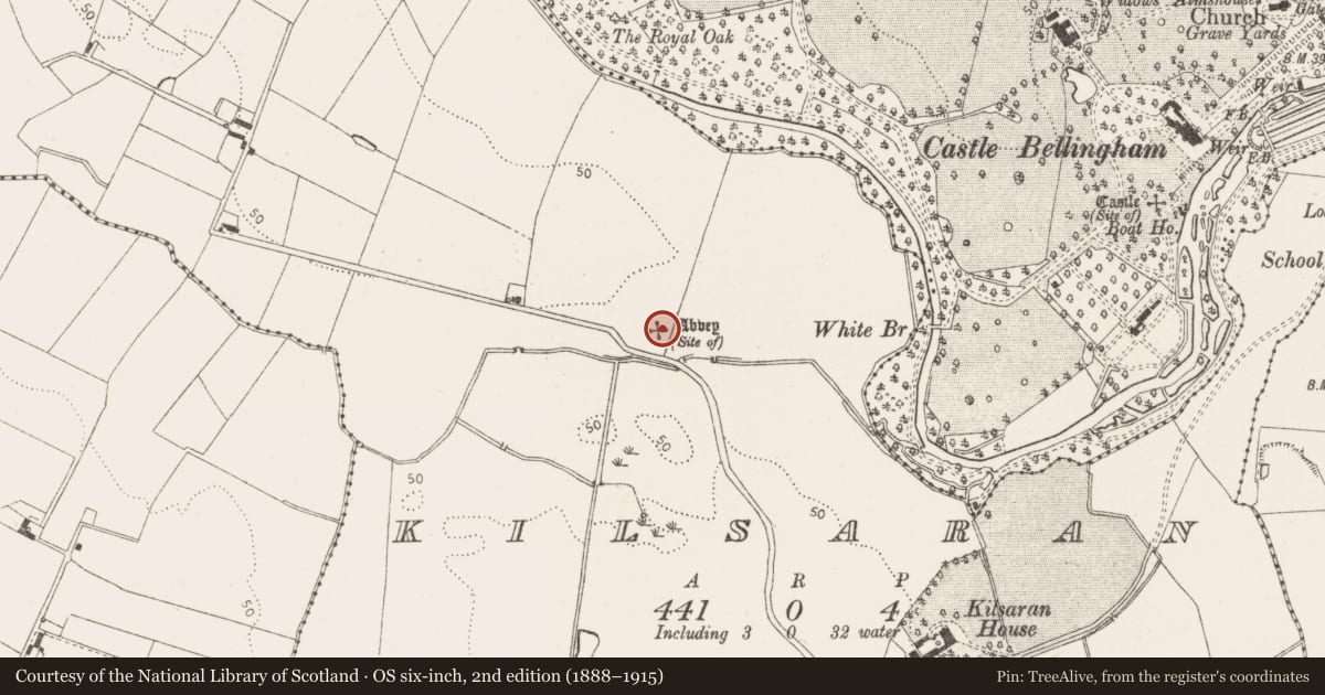 Ordnance Survey six-inch map, 2nd edition (1888–1915) covering the location of Religious house - Knights Templars, Kilsaran, County Louth, with a pin at the register's coordinates