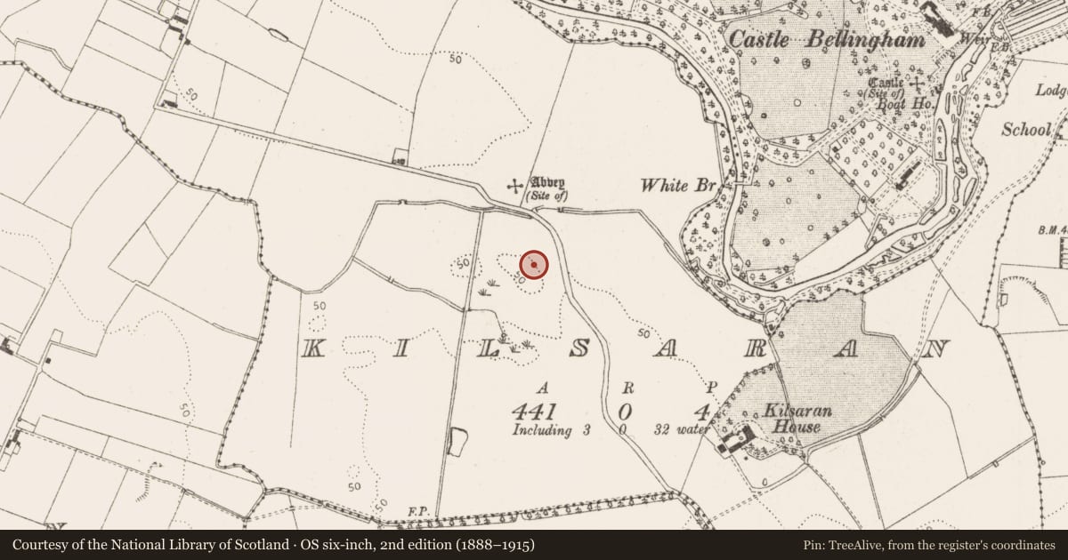 Ordnance Survey six-inch map, 2nd edition (1888–1915) covering the location of Earthwork, Kilsaran, County Louth, with a pin at the register's coordinates