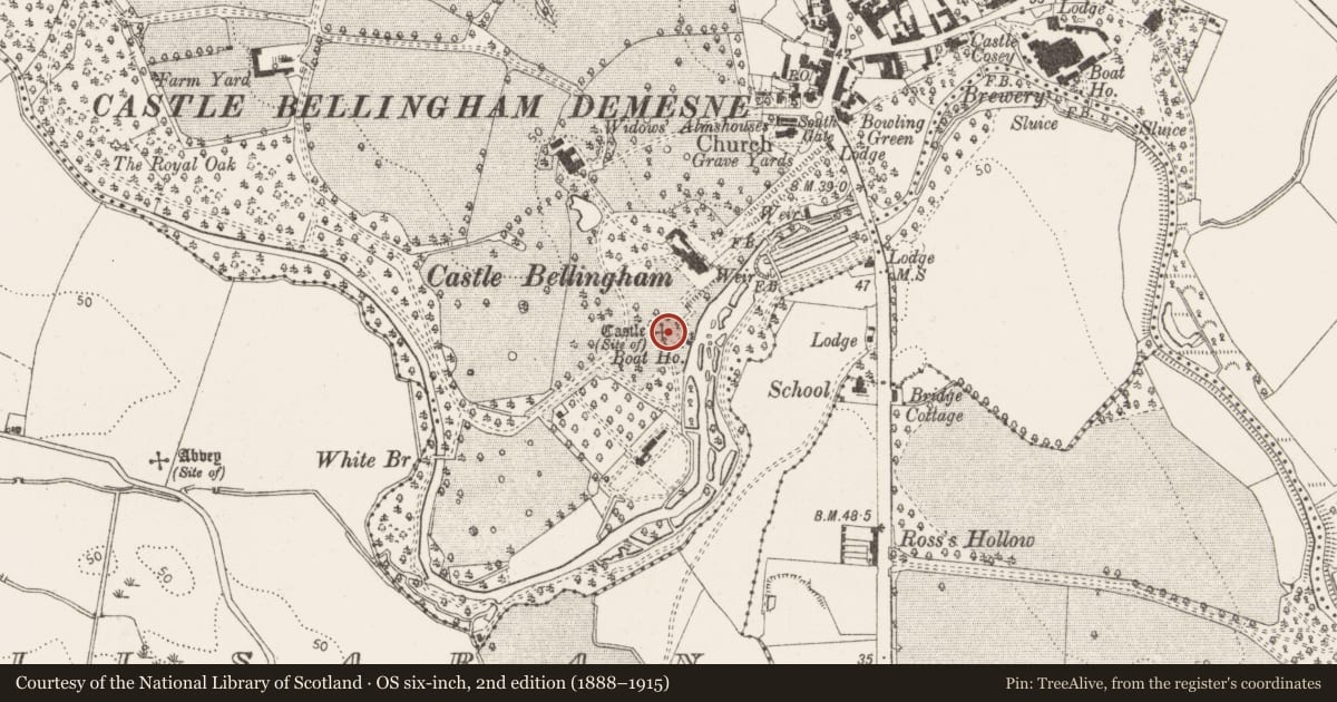 Ordnance Survey six-inch map, 2nd edition (1888–1915) covering the location of Castle - unclassified, Castlebellingham, County Louth, with a pin at the register's coordinates