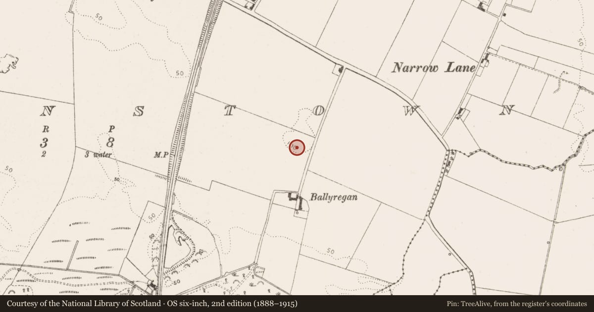 Ordnance Survey six-inch map, 2nd edition (1888–1915) covering the location of Enclosure, Braganstown, County Louth, with a pin at the register's coordinates