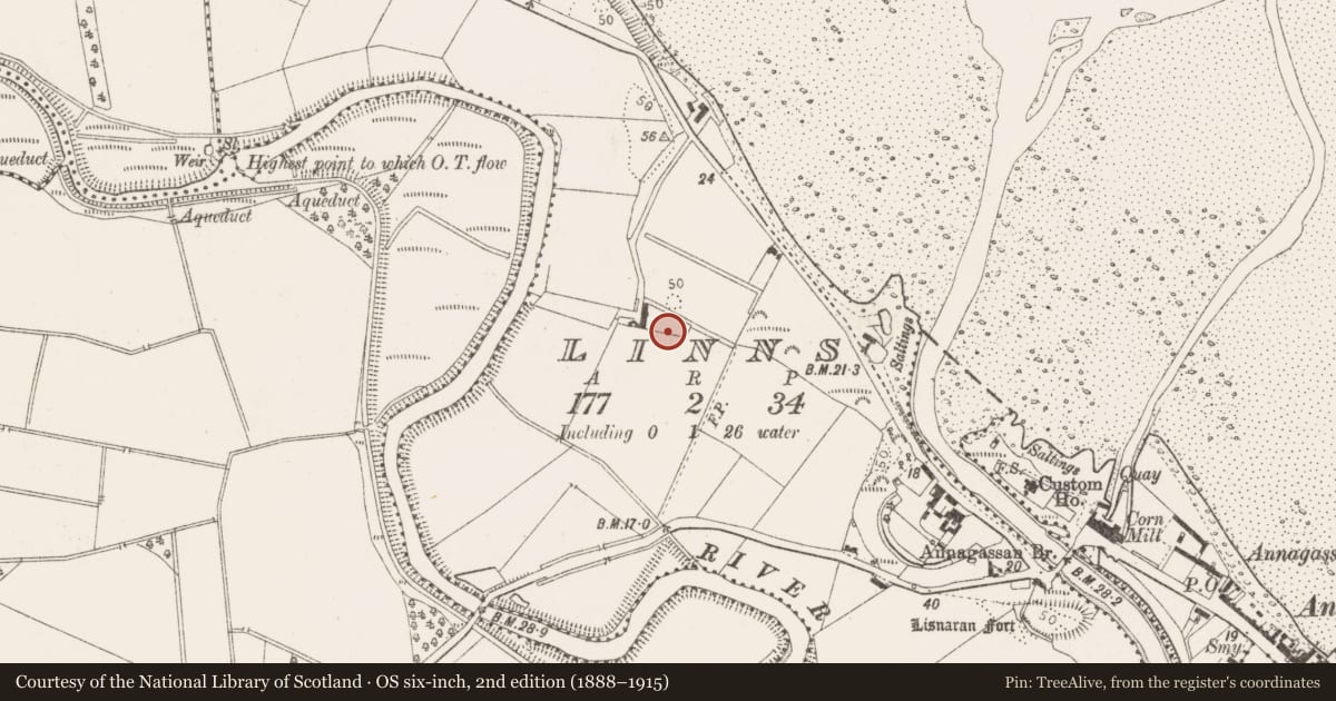Ordnance Survey six-inch map, 2nd edition (1888–1915) covering the location of Ecclesiastical site, Linns, County Louth, with a pin at the register's coordinates