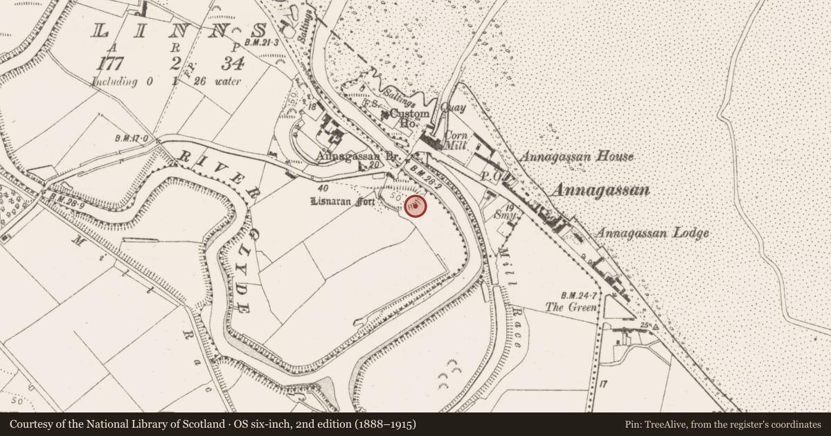 Ordnance Survey six-inch map, 2nd edition (1888–1915) covering the location of Hut site, Linns, County Louth, with a pin at the register's coordinates