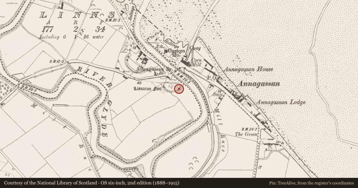 Ordnance Survey six-inch map, 2nd edition (1888–1915) covering the location of Hut site, Linns, County Louth, with a pin at the register's coordinates