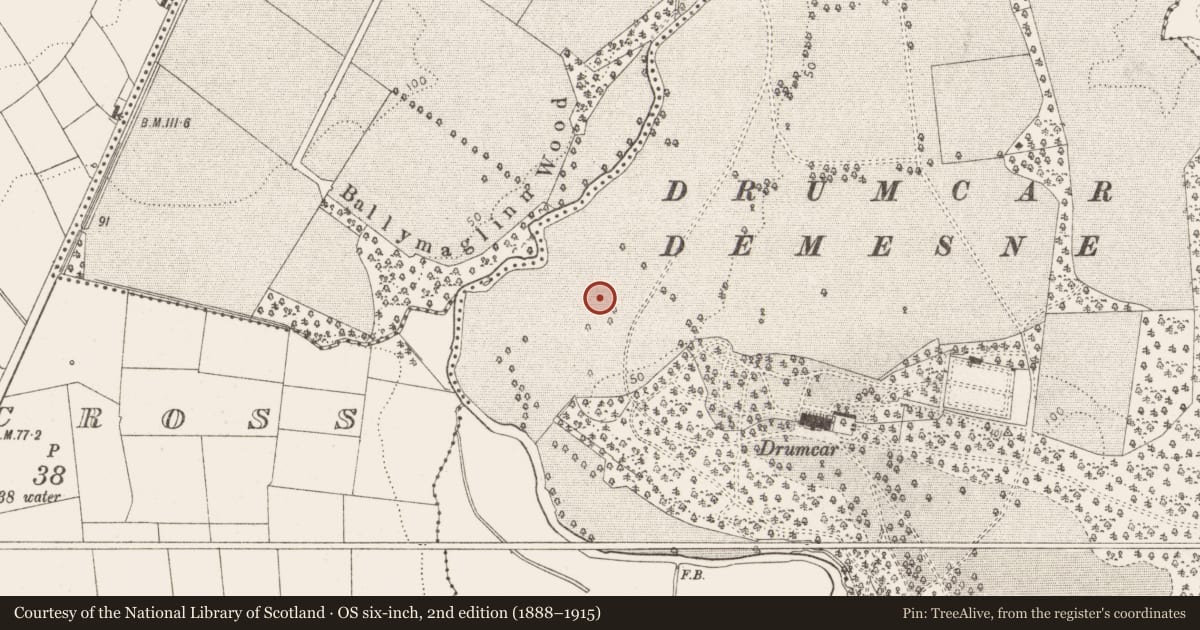 Ordnance Survey six-inch map, 2nd edition (1888–1915) covering the location of Enclosure - large enclosure, Drumcar, County Louth, with a pin at the register's coordinates