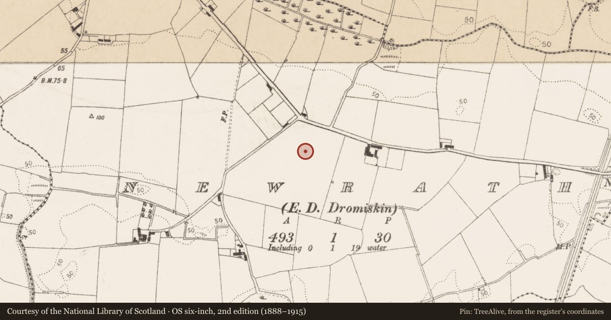 Ordnance Survey six-inch map, 2nd edition (1888–1915) covering the location of Castle - unclassified, Newrath (Louth By., Dromiskin Par.), County Louth, with a pin at the register's coordinates