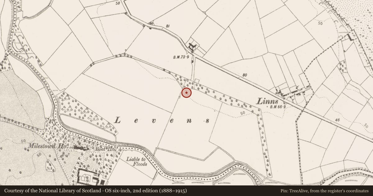 Ordnance Survey six-inch map, 2nd edition (1888–1915) covering the location of Fulacht fia, Castlebellingham, County Louth, with a pin at the register's coordinates