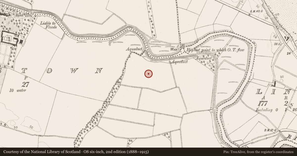 Ordnance Survey six-inch map, 2nd edition (1888–1915) covering the location of Castle - unclassified, Maine, County Louth, with a pin at the register's coordinates