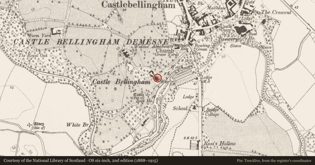 Ordnance Survey six-inch map, 2nd edition (1888–1915) covering the location of House - 17th century, Castlebellingham, County Louth, with a pin at the register's coordinates