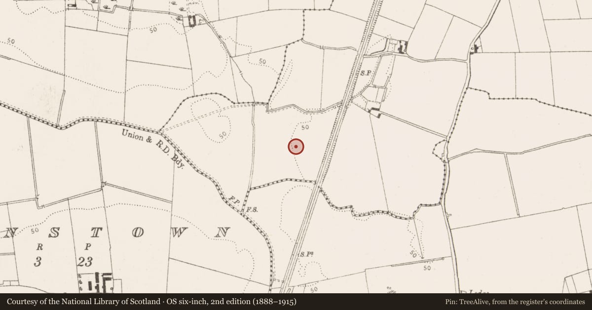 Ordnance Survey six-inch map, 2nd edition (1888–1915) covering the location of Excavation - miscellaneous, Newrath (Louth By., Dromiskin Par.), County Louth, with a pin at the register's coordinates