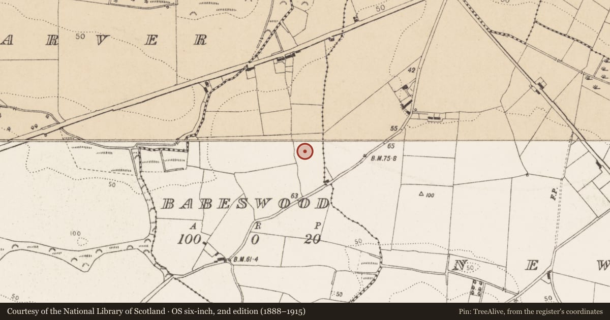 Ordnance Survey six-inch map, 2nd edition (1888–1915) covering the location of Cross-slab, Babeswood, County Louth, with a pin at the register's coordinates