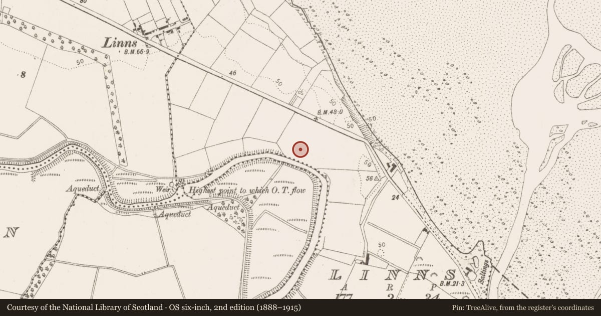 Ordnance Survey six-inch map, 2nd edition (1888–1915) covering the location of Fortification, Linns, County Louth, with a pin at the register's coordinates