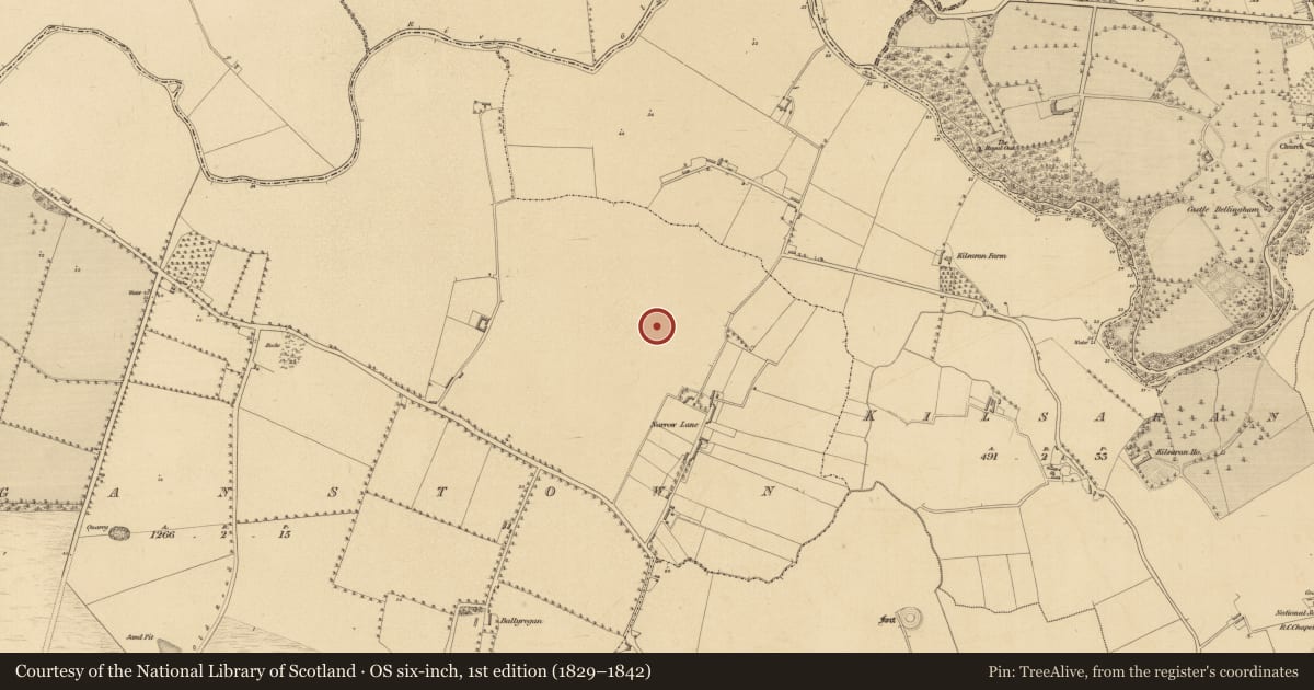 Ordnance Survey six-inch map, 1st edition (1829–1842) covering the location of Ring-ditch, Braganstown, County Louth, with a pin at the register's coordinates