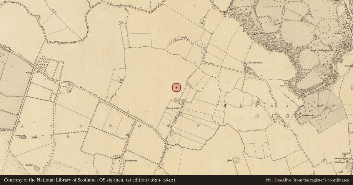 Ordnance Survey six-inch map, 1st edition (1829–1842) covering the location of Enclosure, Braganstown, County Louth, with a pin at the register's coordinates