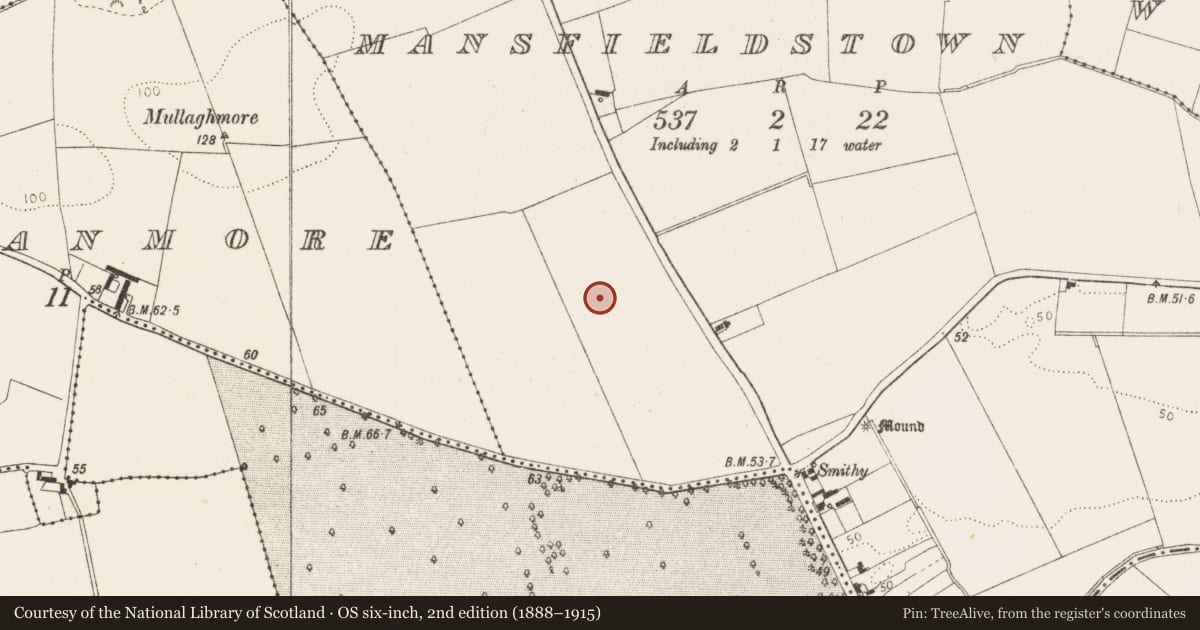 Ordnance Survey six-inch map, 2nd edition (1888–1915) covering the location of Enclosure, Mansfieldstown, County Louth, with a pin at the register's coordinates