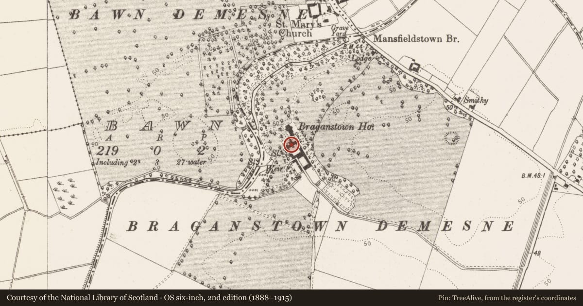 Ordnance Survey six-inch map, 2nd edition (1888–1915) covering the location of Wall monument (present location), Braganstown, County Louth, with a pin at the register's coordinates