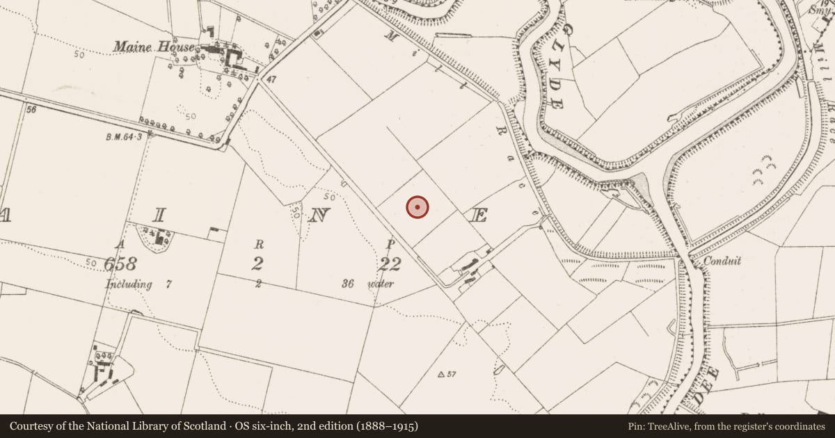 Ordnance Survey six-inch map, 2nd edition (1888–1915) covering the location of Enclosure, Maine, County Louth, with a pin at the register's coordinates
