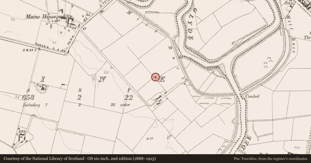 Ordnance Survey six-inch map, 2nd edition (1888–1915) covering the location of Field system, Maine, County Louth, with a pin at the register's coordinates